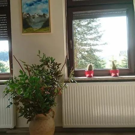 Hansis * Klingenthal