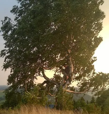 Hansis Apartamento Klingenthal