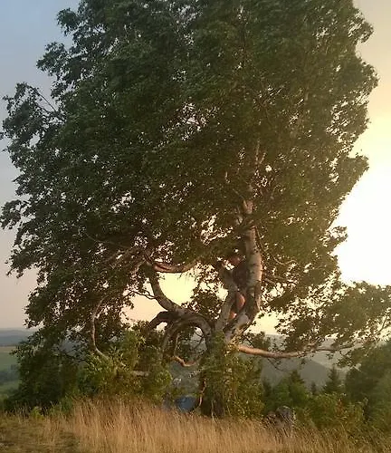 Hansis דירה קלינגנתאל